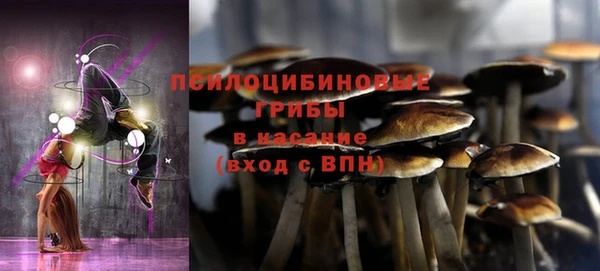круглые Богородицк