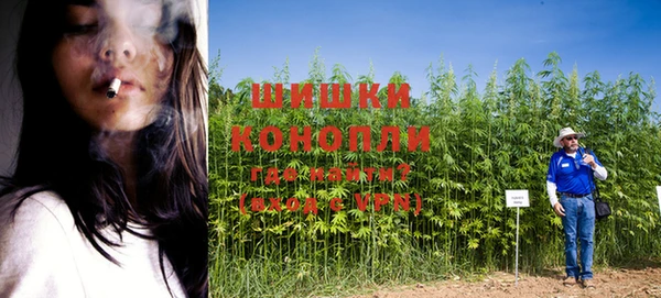 шишки Богданович