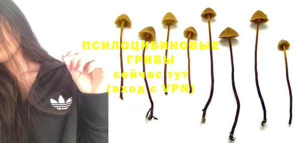 круглые Богородицк