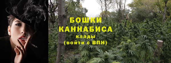 шишки Богданович