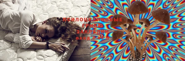 шишки Богданович