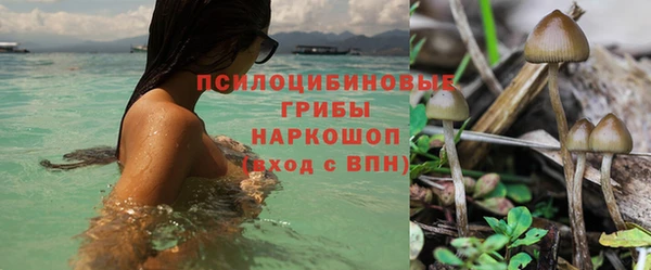 круглые Богородицк